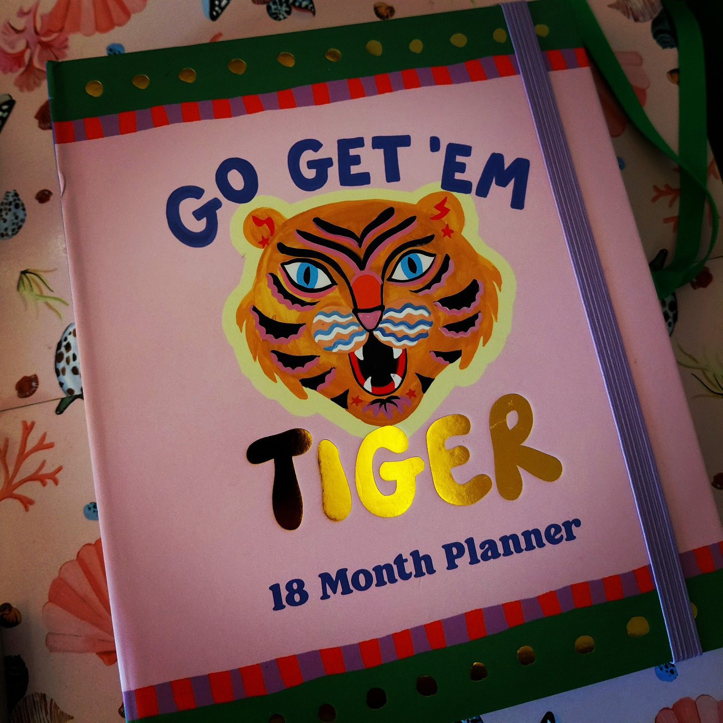 Anyone else think a new notebook or planner is the key to conquering the world?! Me too 🐯🩷
#getfoiled #getfoiledbyamanda #foilart
#eleanorbowmer